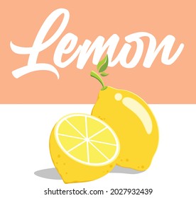 yellow lemon vector illustration with section. square yellow background wallpaper illustration.