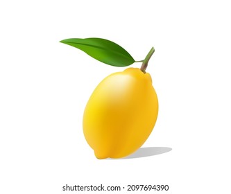 Yellow lemon vector style on white background. 3d rendering illustration.