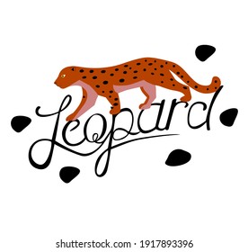 Yellow leopard with black spots on white background with lettering. Vector illustration.
