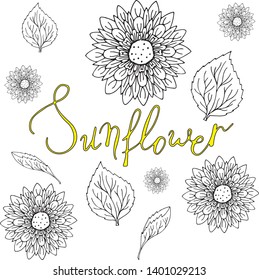 Yellow lettering sunflower in vector