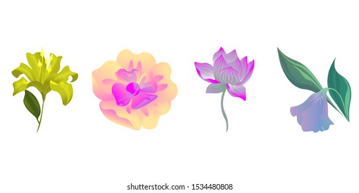 Yellow Lilium. Yellow Magnolia. Purple Lotus. Purple Bllflower. Vector illustration. Isolated illustration element. Floral botanical flower. Wild leaf wildflower isolated. Exotic tropical hawaiian.