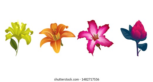 Yellow Lilium. Orange Daylily. Pink Adenium. Red Vriesea. Vector illustration. Isolated illustration element. Floral botanical flower. Wild leaf wildflower isolated. Exotic tropical hawaiian jungle.