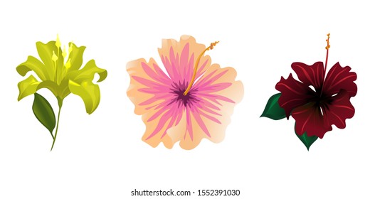 Yellow Lilium. Pink Hibiscus. Red Rose Mallow. Vector illustration. Isolated illustration element. Floral botanical flower. Wild leaf wildflower isolated. Exotic tropical hawaiian jungle.