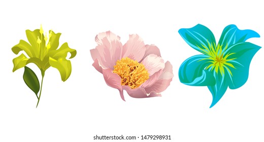 Yellow Lilium. Pink Peony. Green Plumeria. Vector illustration. Isolated illustration element. Floral botanical flower. Wild leaf wildflower isolated. Exotic tropical hawaiian jungle.