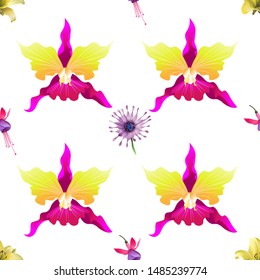Yellow Lilium. Pink and Purple Fuchsia Bella. Purple Osteospermum Daisybush. Pink Orchid. Vector illustration. Seamless background pattern. Floral botanical flower. Wild leaf wildflower isolated.