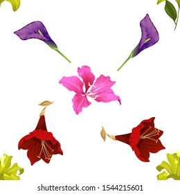 Yellow Lilium. Purple Calla. Purple Amaryllis. Pink Bauhinia Purpurea. Vector illustration. Seamless background pattern. Floral botanical flower. Wild leaf wildflower isolated. Exotic tropical.