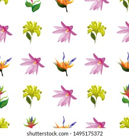 Yellow Lilium. Purple Hatiora. Orange Strelitzia. Green bird of paradise. Vector illustration. Seamless background pattern. Floral botanical flower. Wild leaf wildflower isolated. Exotic tropical.