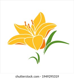 Yellow lily in cartoon style on white background. Isolated vector illustration.