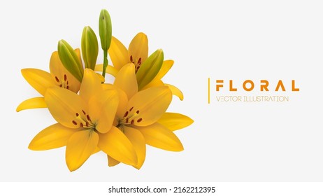 Yellow lily flower bouquet isolated. Vector illustration eps 10. Vector illustration of yellow lilies.