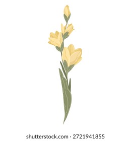 Flor de lirio amarillo en el tallo con hojas verdes Vector, ilustración de la planta floreciente dibujada a mano aislada en blanco.