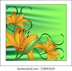 Yellow lily on a green background