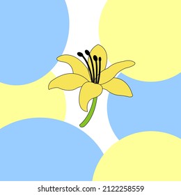 Yellow lily on a yellow-blue background