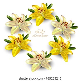 Yellow lily wreath Vector. Delicate floral card illustrations