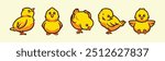 Yellow Little Chick set pack collection cartoon character vector illustration icon