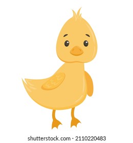 Gelbe kleine Ente im flachen Stil einzeln auf weißem Hintergrund. Cute Vektorgrafik in einem einfachen handgezeichneten Cartoon-Stil. Cute Cartoon Gans. Vogel-Zeichen mit Textur.