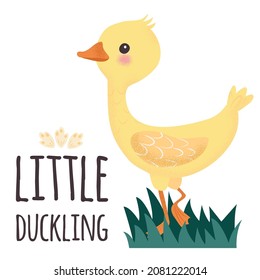Yellow little duck. Sweet duckling in water. Cute vector illustration in simple hand-drawn cartoon style. Cute cartoon little goose. Gosling in the grass. Character bird with texture.
