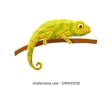 Yellow lizard or chameleon cartoon character with swirling tail, flat vector illustration isolated on white background. Exotic tropical lizard sitting on tree branch.