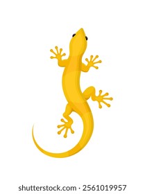 Yellow lizard gecko on a white background	