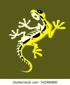yellow lizard and skelet