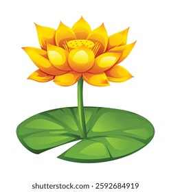 Yellow lotus flower with stem and lotus pad. Vector cartoon illustration