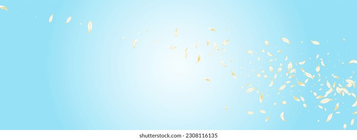 Yellow Lotus Japan Vector Panoramic Blue Background. Light Beauty Rose Cover. Beige Blossom Fall Banner. Gold Cherry Blur Frame. Falling Floral Design.