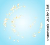 Yellow Lotus Spring Vector Blue Background. Gold Tender Peach Frame. Light Flower Beauty Cover. White Petal Flying Template. Fly Rose Texture.