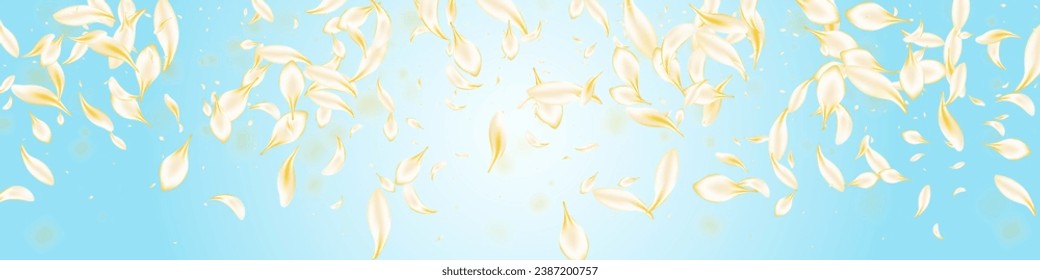 Yellow Lotus Summer Vector Panoramic Blue Background. Light Fall Blossom Frame. White Floral Fly Wallpaper. Gold Sakura Falling Banner. Flying Peach Texture.