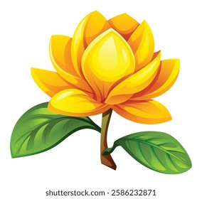 Yellow magnolia flower with leaves. Vector illustration isolated on white background