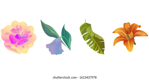 Yellow Magnolia. Purple Bllflower. Green Palm Leaf. Orange Daylily. Vector illustration. Isolated illustration element. Floral botanical flower. Wild leaf wildflower isolated. Exotic tropical.
