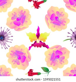 Yellow Magnolia. Purple Osteospermum Daisybush. Red Angel Trumpet. Pink Orchid. Vector illustration. Seamless background pattern. Floral botanical flower. Wild leaf wildflower isolated. Exotic.