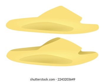 Yellow man slippers. vector illustration