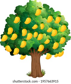 Árbol de mango amarillo aislado en ilustración de fondo blanco
