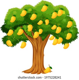 Yellow mango tree isolated on white background illustration