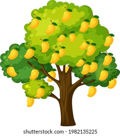 Yellow mango tree isolated on white background illustration