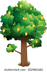 Árbol de mango amarillo aislado en ilustración de fondo blanco