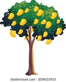 Árbol de mango amarillo aislado en ilustración de fondo blanco