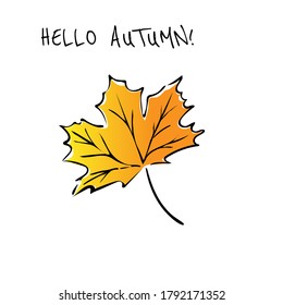 Yellow maple leaf autumn icon vector illustration on white background. Eps10