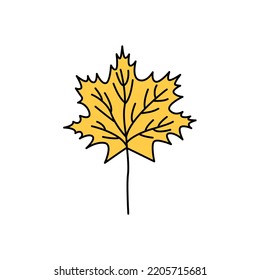 Yellow maple leaf doodle. Autumn collection of fallen leaves. Black outline isolated on a white background. Element of autumn aesthetics. Hand drawn line art, cute vector illustration.