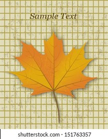 yellow maple leaf on a background of old yellowed paper in the cage