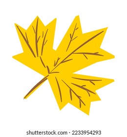 yellow maple leaf on a white background