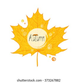 Yellow maple leaf with orange veins. Elegant element for your design. Autumn illustration.