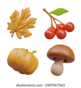 Yellow maple leaf, red rowan berries, ripe pumpkin, edible mushroom. Vector realistic image on white background. Set of elements for design of entertainment and commercial resources