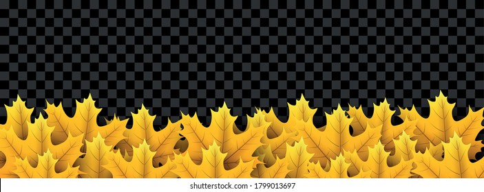 Yellow maple leaves bottom frame on transparent background. Vector illustration.