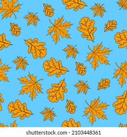 Hojas de arce amarillo en un fondo azul