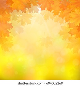 Yellow maple leaves on blurry background with sun rays. Vector illustration. Background for autumn cards.