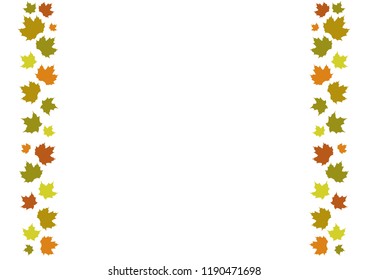 yellow maple leaves on white background