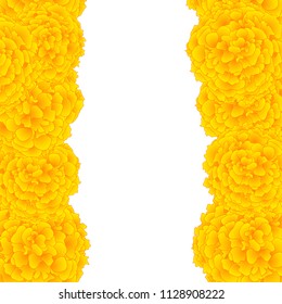 Yellow Marigold Border isolated on White Background. Vector Illustration.