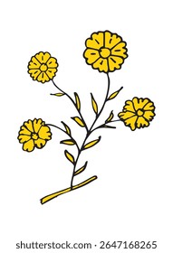Yellow marigold flower vector illustration. Detailed petals and stem design. Botanical drawing. Floral element.