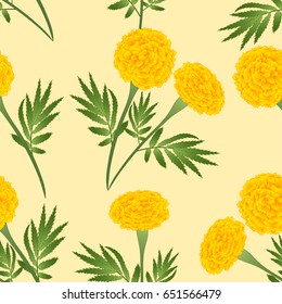 Yellow Marigold on Ivory Beige Background. Vector Illustration.