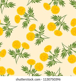 Yellow Marigold Seamless on Beige Ivory Background. Vector Illustration.
